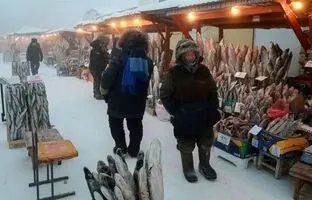 (ویدئو) سردترین بازار گوشت و ماهی جهان؛ همه چیز اینجا یخ زده است!