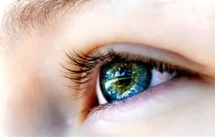 شگفتی چشم‌ انسان؛ دیدن جهان چه زمان امکان‌پذیر شد؟