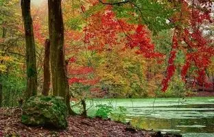 زیباترین دریاچه‌های مازندران برای یک سفر نوروزی جذاب