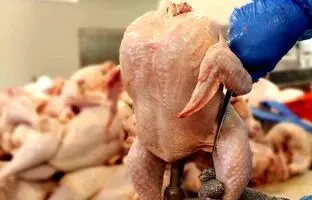 قیمت گوشت مرغ، امروز شنبه ۲۸ بهمن ۱۴۰۲