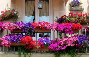 برای عید بالکن خونه‌ات رو با این وسایل دیزاین کن!