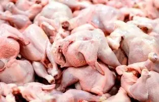 قیمت گوشت مرغ، امروز یکشنبه ۲۹ بهمن ۱۴۰۲