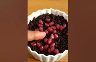 (ویدئو) طریقه کاشت انار در گلدان با استفاده از دانه میوه