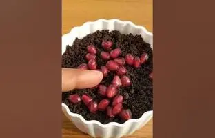 (ویدئو) طریقه کاشت انار در گلدان با استفاده از دانه میوه