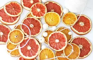 بهترین روش تهیه گریپ‌ فروت خشک شده؛ سالم و خوشمزه