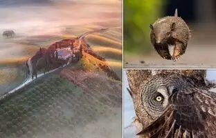 تصاویر جالب و برگزیده‌ی برندگان جوایز عکاس سفر ۲۰۲۳