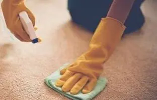 روش پاک کردن لکه و رفع بوی بد استفراغ از روی فرش و لباس