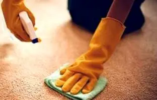 روش پاک کردن لکه و رفع بوی بد استفراغ از روی فرش و لباس
