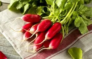 فوت و فن کاشت تربچه در گلدان/ تربچه را در کدام فصل می توان کاشت؟