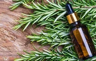 روش استفاده از روغن رزماری برای مو و ابرو