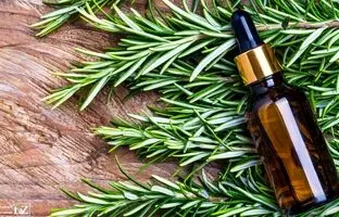 روش استفاده از روغن رزماری برای مو و ابرو
