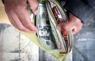 نرخ دلار، سکه، طلا و یورو سه‌شنبه ۱۰ بهمن ۱۴۰۲