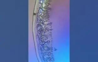 (ویدئو) اشک انسان زیر میکروسکوپ چگونه دیده می‌شود