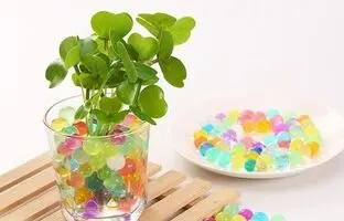با خاک ژله ای رنگارنگ متفاوت ترین سبزه عمرتو بساز!
