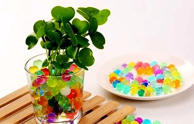 با خاک ژله ای رنگارنگ متفاوت ترین سبزه عمرتو بساز!