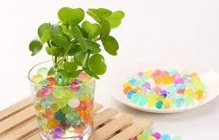 با خاک ژله ای رنگارنگ متفاوت ترین سبزه عمرتو بساز!
