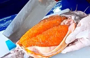 (ویدئو) غذای خیابانی گران قیمت در تایوان؛ پخت جالب سوپ تخم و گوشت گربه ماهی
