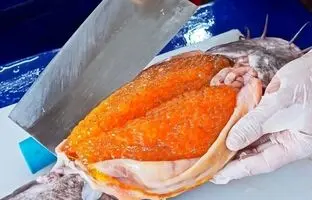 (ویدئو) غذای خیابانی گران قیمت در تایوان؛ پخت جالب سوپ تخم و گوشت گربه ماهی