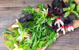 روش تازه نگه داشتن سبزی خوردن