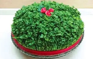 یه سبزه دقیقه نودی برای عید که خیلی سریع سبز میشه