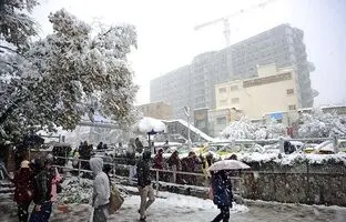 (تصویر) عکس دیدنی از ارتفاع 20 سانتی متری برف در تجریش تهران