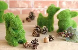 آموزش کاشت سبزه عید عروسکی با جوراب (موش و خارپشت)