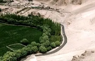چینی ها از دل شوره زار مزارع حاصل خیز بیرون آوردند