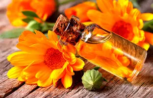 روغن کالاندولا برای پوست و مو خیلی خاصیت داره! بهتره بدونی!