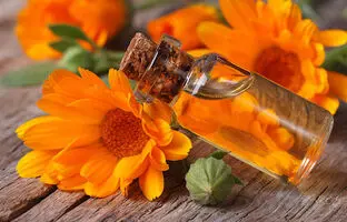 روغن کالاندولا برای پوست و مو خیلی خاصیت داره! بهتره بدونی!