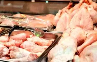 قیمت گوشت مرغ، امروز دوشنبه ۱۴ اسفند ۱۴۰۲