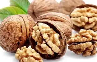 (ویدئو) روش سریع تبدیل گردو پوست سنگی به پوست کاغذی
