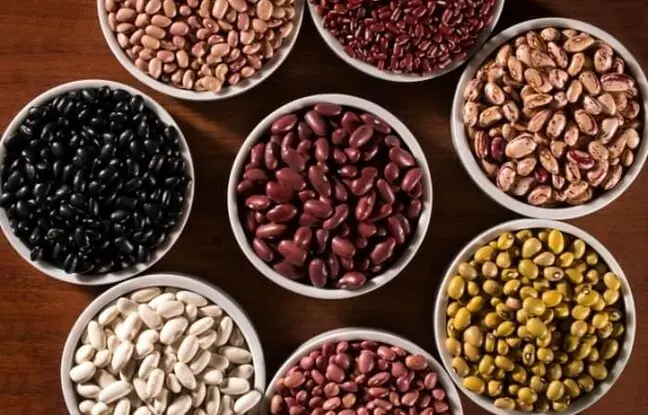 شیوه ی صحیح فریز کردن حبوبات پخته + مدت زمان
