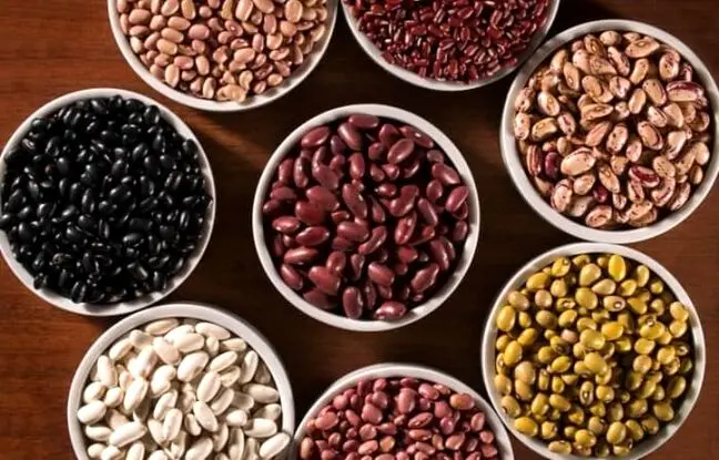 شیوه ی صحیح فریز کردن حبوبات پخته + مدت زمان