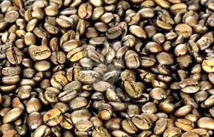 معمای توهم نوری سخت؛ سلبریتی مشهور رو در بین دانه های قهوه پیدا کن!