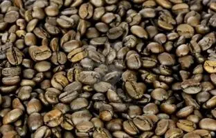 معمای توهم نوری سخت؛ سلبریتی مشهور رو در بین دانه های قهوه پیدا کن!