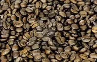 معمای توهم نوری سخت؛ سلبریتی مشهور رو در بین دانه های قهوه پیدا کن!