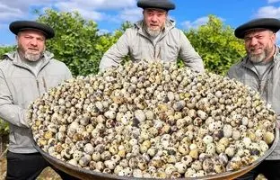 (ویدئو) فرآیند پخت یک غذا با 1000 تخم بلدرچین توسط آشپز مشهور ساکن آذربایجان