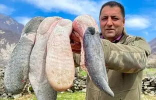 (ویدئو) نحوه پخت یک غذای سنتی با 2 کیلوگرم زبان گاو توسط آشپز مشهور آذربایجانی
