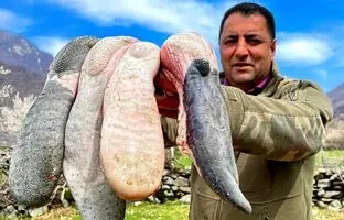 (ویدئو) نحوه پخت یک غذای سنتی با 2 کیلوگرم زبان گاو توسط آشپز مشهور آذربایجانی