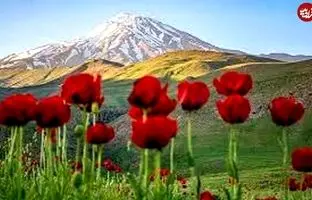 (تصاویر) بهشت‌های اطراف تهران که هنوز نمی‌شناسیم و ندیده ایم