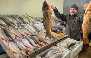 (ویدئو) کباب کردن تماشایی دو ماهی کپور بزرگ توسط یک فرد روستایی ساکن آذربایجان
