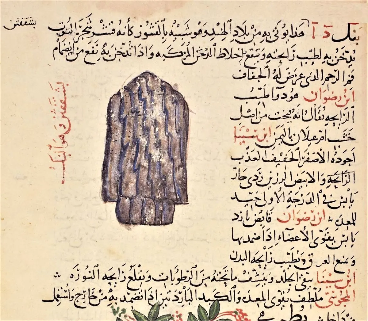 ابن سینا و زکریای رازی چه نظری دربارۀ «قهوه» داشتند؟