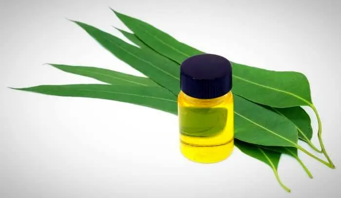 چجوری با روغن اکالیپتوس، لکه لباس رو پاک میکنن؟