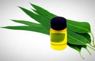 چجوری با روغن اکالیپتوس، لکه لباس رو پاک میکنن؟