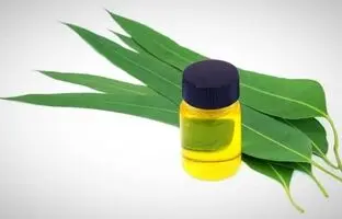 چجوری با روغن اکالیپتوس، لکه لباس رو پاک میکنن؟