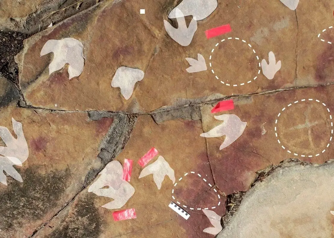 (تصاویر) چرا انسان‌های عهد باستان «ردپای دایناسورها» را علامت‌گذاری می کردند؟