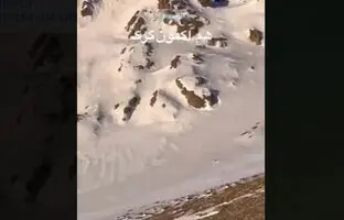 (ویدئو) لحظاتی ناب از پرسه گله گرگ‌ها در کلکچال