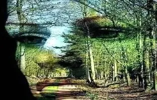 بگوئید اول چه چیزی را دیدید تا بگوییم چقدر تلاش می کنید تا بقیه در آسایش باشند