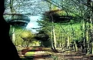 بگوئید اول چه چیزی را دیدید تا بگوییم چقدر تلاش می کنید تا بقیه در آسایش باشند