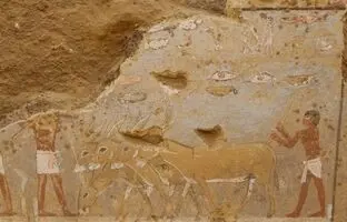 کشف دیوارنگاره‌های باستانی رنگی در مقبره ۴۳۰۰ ساله در مصر